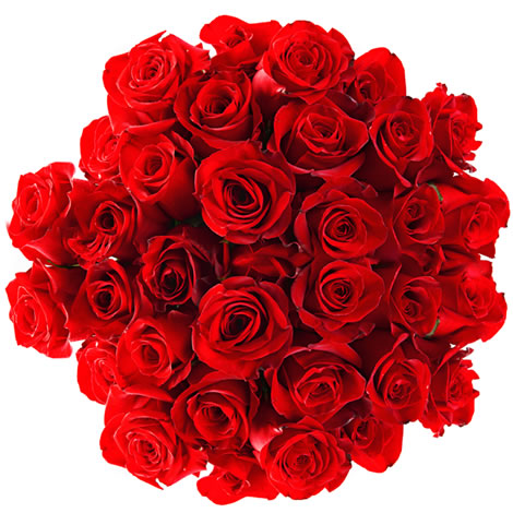Bouquet de 50 roses