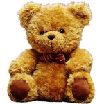 Brown Teddy Bear (Medium)